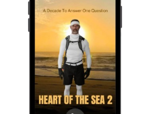 Heart Of The Sea 2